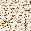 Calacatta marble