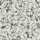 Carrara marble